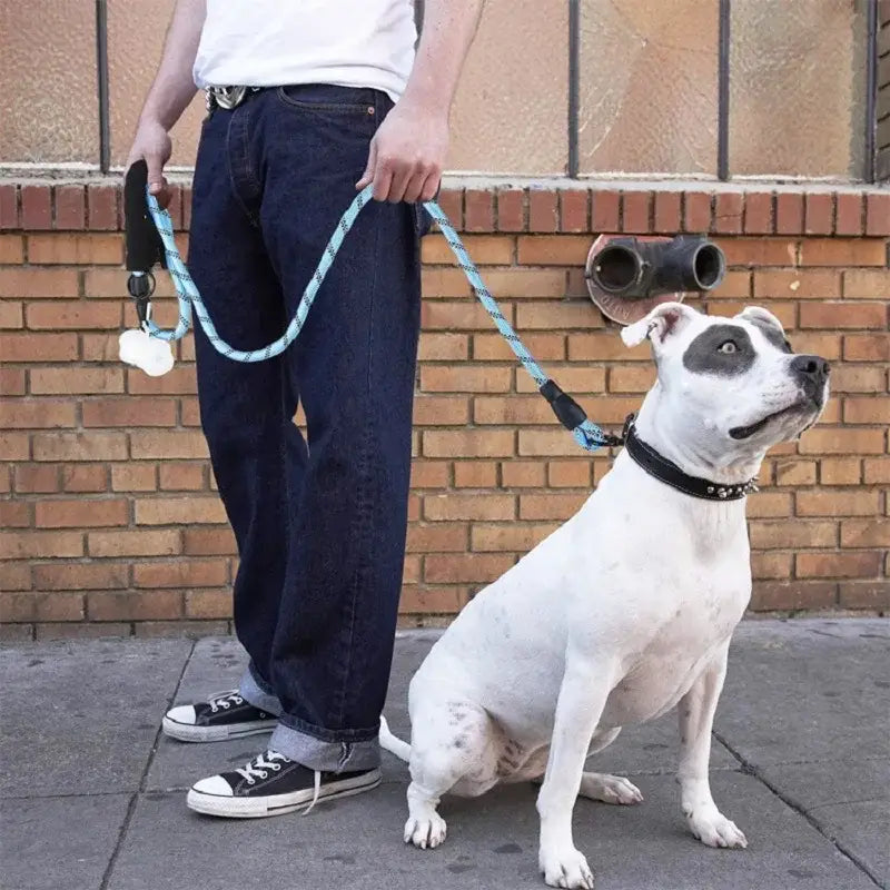 Guinzagli forti per cani guinzaglio per cani con manico