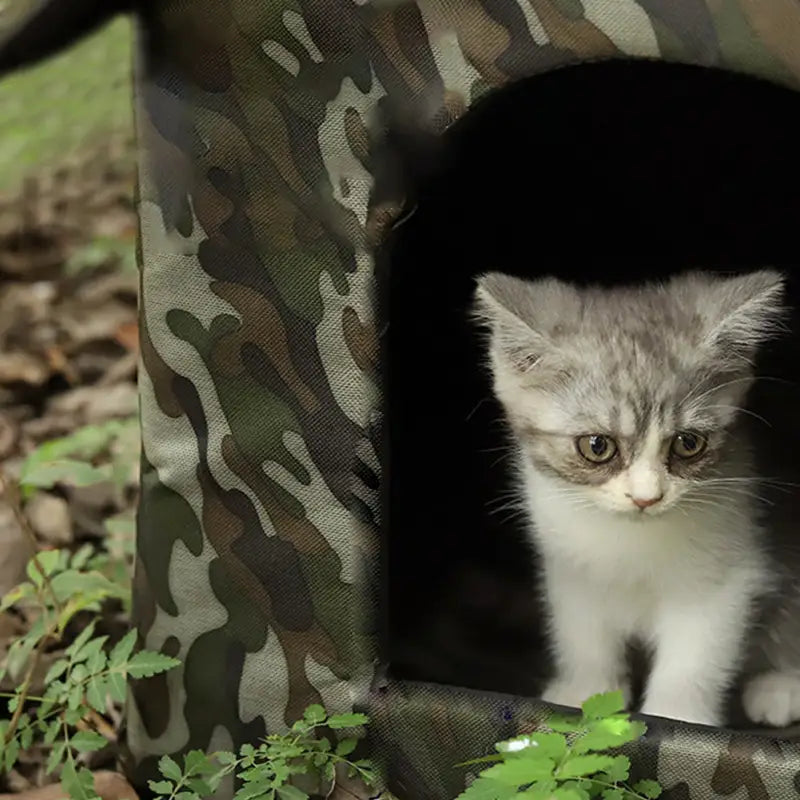 Casa per gatti e cani di piccola taglia media impermeabile - Verde militare / 15 in magazzino / SPEDIZIONE GRATUITA