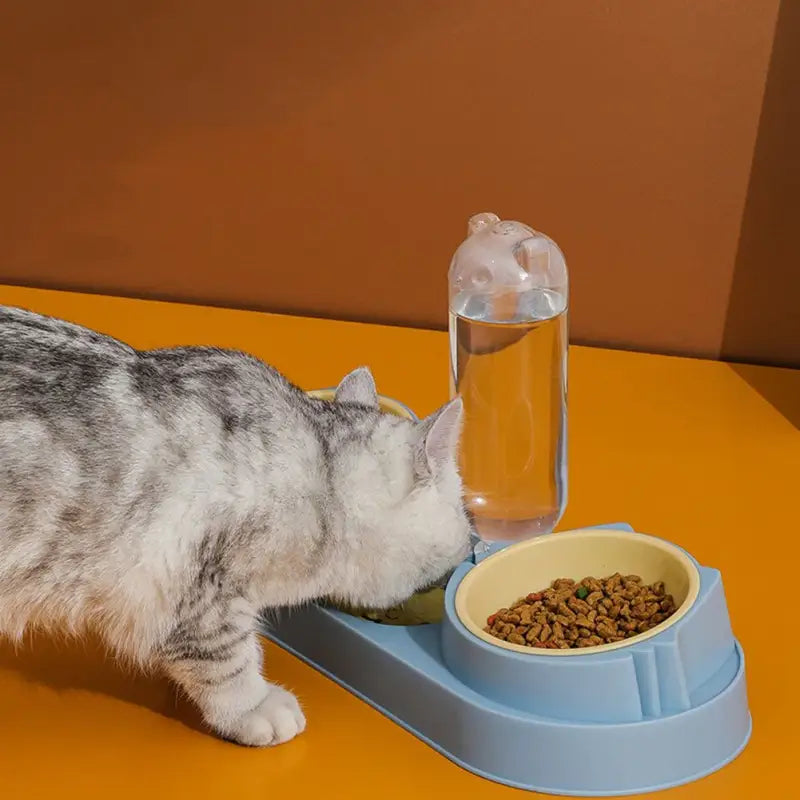 Ciotole per alimenti automatiche per cani e gatti - ITALY-VASION- STORE