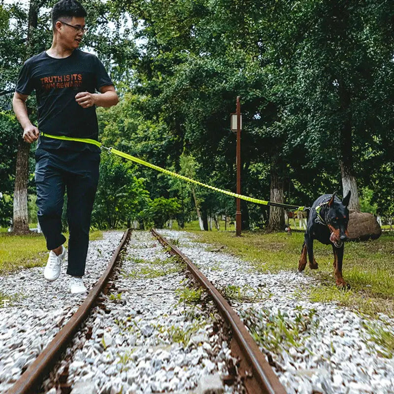 Guinzaglio per cani per chi ama fare attività all'aperto - ITALY-VASION- STORE