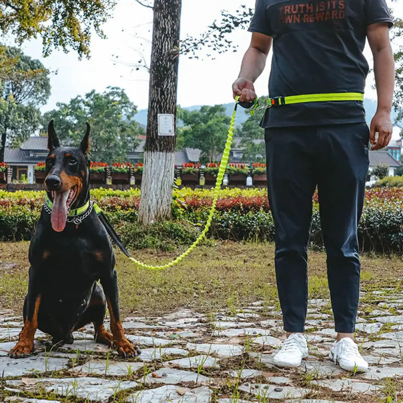 Guinzaglio per cani per chi ama fare attività all'aperto - ITALY-VASION- STORE