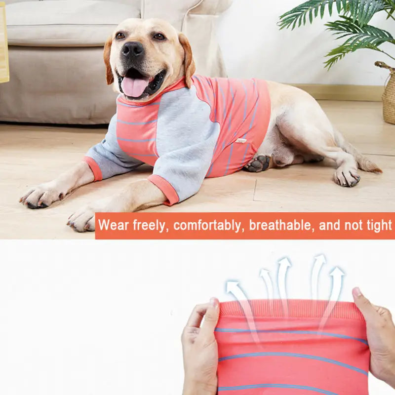 Maglia per cani in cotone protezione solare - Arancione - Maglia per cani