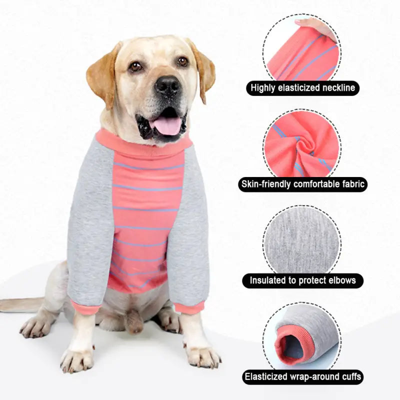 Maglia per cani in cotone protezione solare - Arancione - Maglia per cani