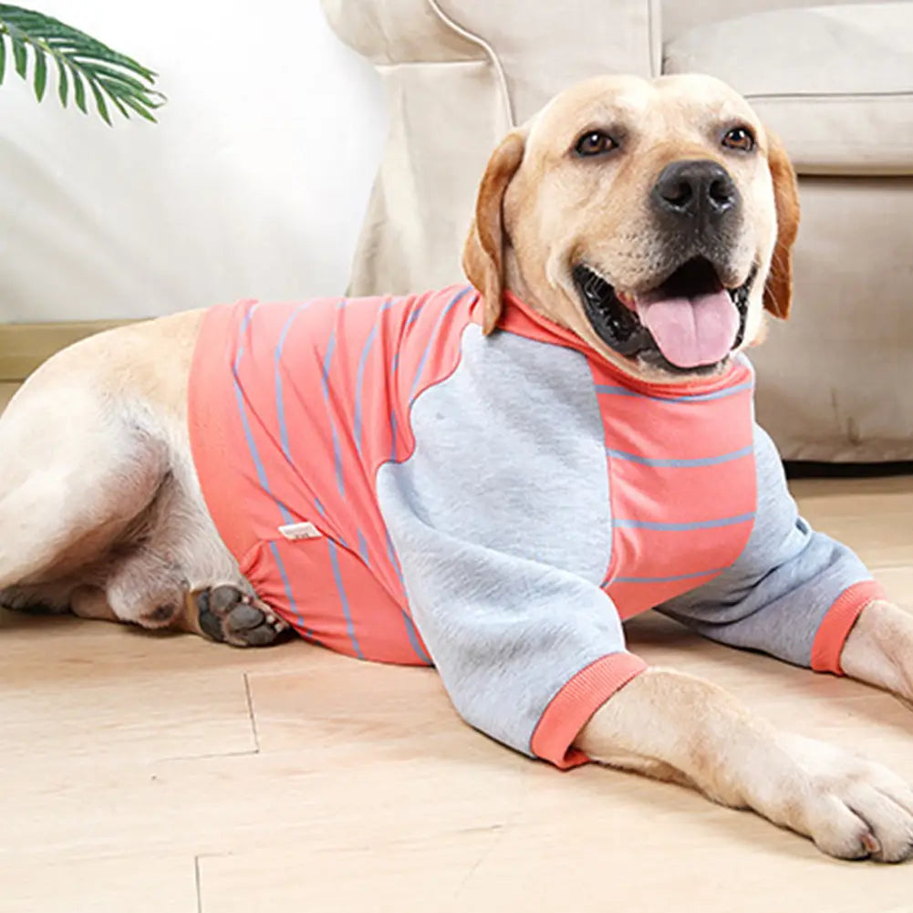 Maglia per cani in cotone protezione solare